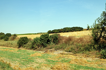"The site of German gun placements near Warlencourt".  The site of German gun placements near Warlencourt Taken by Bob Paterson July 2018